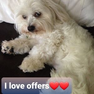 ❤Offers Welcome❤️